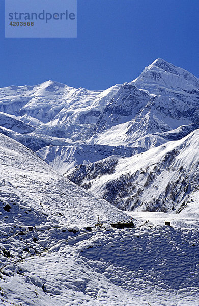 Tilicho Peak (7134 m)  Annapurna Gebiet  Himalaya  Nepal  Asien