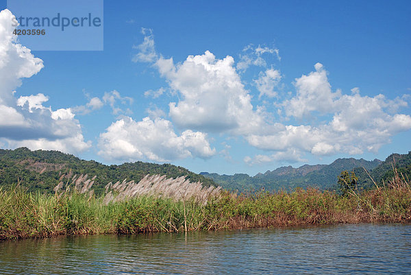 Naturschutzgebiet beim Khao Laem Stausee  Sangkhlaburi  Thailand  Asien