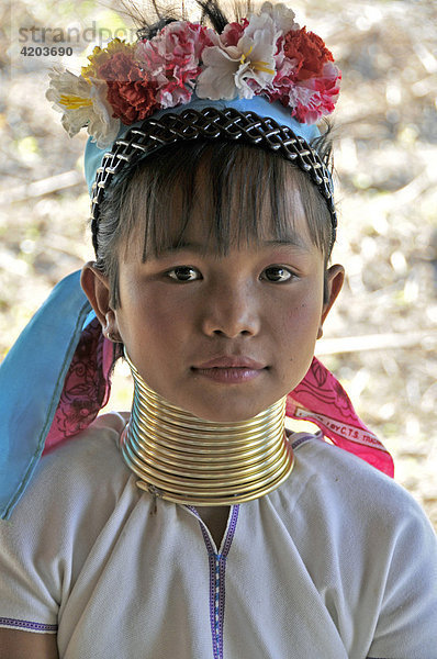 Im Grenzgebiet zwischen Thailand und Myanmar (Birma) leben als Flüchtlinge die Long Neck Women (Langhals-Frauen  Stamm der Padaung). Mädchen mit ersten Halsringen  Thailand  Asien