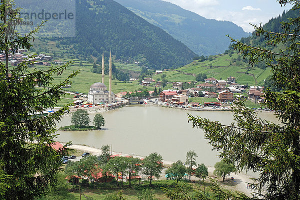 Uzungöl  Kackar-Gebirge  Nordostanatolien  Türkei  Asien