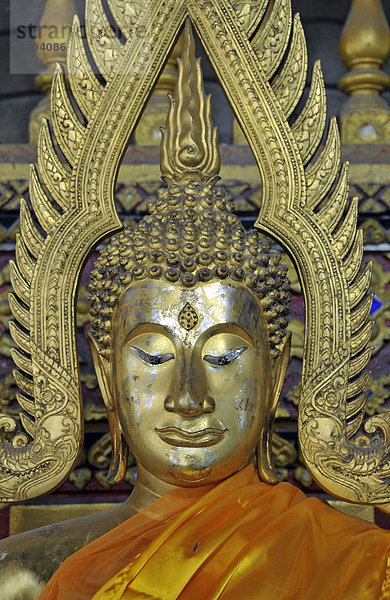 Buddhastatue  Wat Suan Dok  Chiang Mai  Thailand  Asien