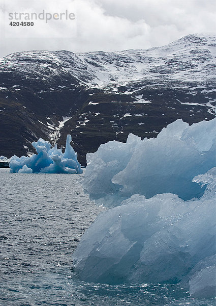 Eisberge  nahe Narsarsuaq  Süd-Grönland  Nordatlantik