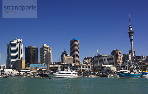 Blick vom Hafen auf die Skyline und den Sky Tower  Auckland  Neuseeland