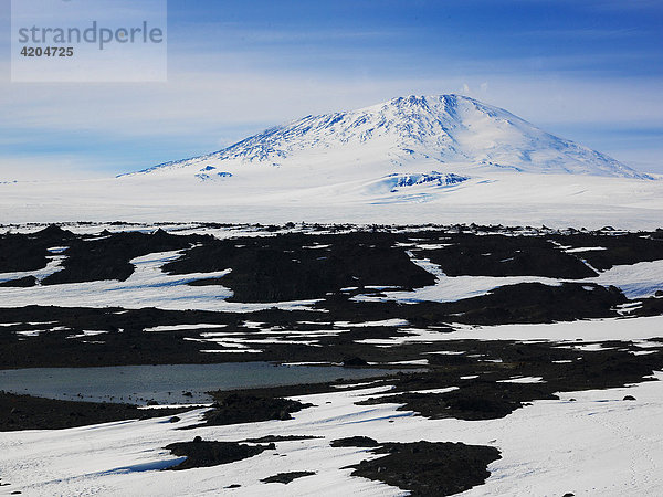 Mt. Erebus  3794 m  vom Cape Evans auf Ross Island  Antarktis