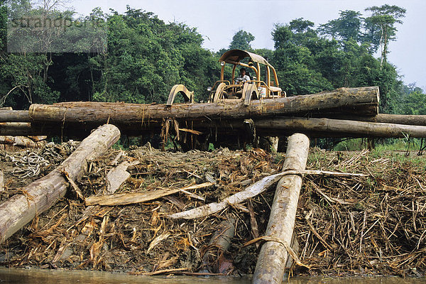 Regenwaldzerstörung  Borneo  Südostasien  Asien