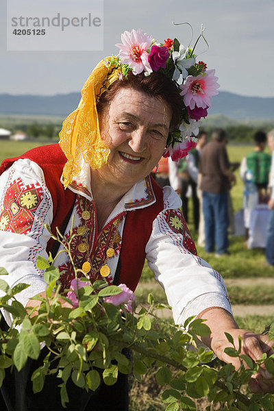 Rosenpflückerin  Rosenfest  Rosenernte  Karlovo  Bulgarien