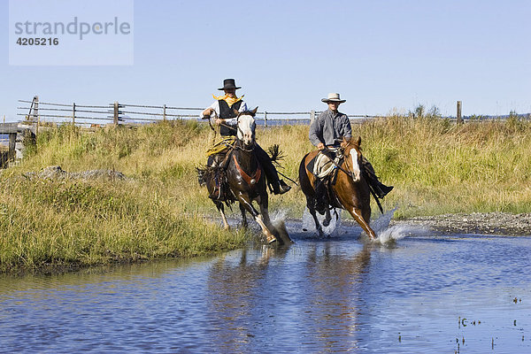 Cowboys reiten durch Bach  Oregon  USA