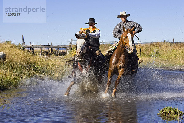 Cowboys reiten durch Bach  Oregon  USA
