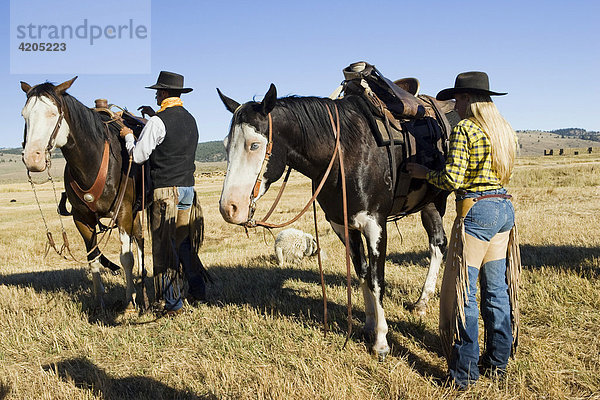 Cowgirl und Cowboy satteln ihre Pferde  Oregon  USA