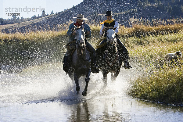 Cowboys reiten in Bachbett  Wilder Westen  Oregon  USA