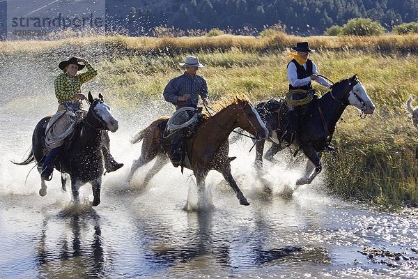 Cowboys reiten in Bachbett  Wilder Westen  Oregon  USA