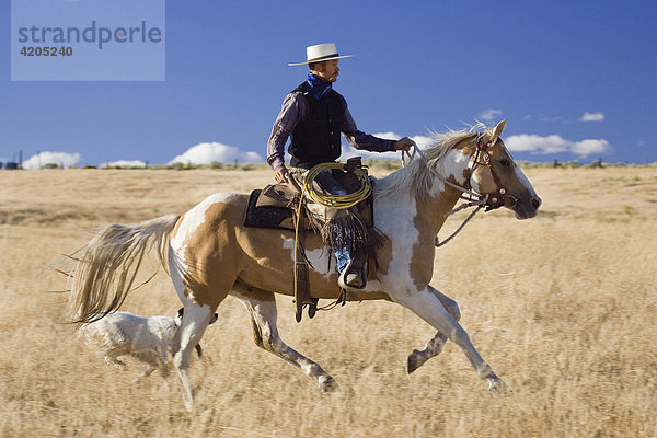 Cowboy reitet  Oregon  USA