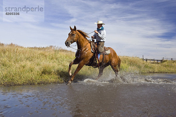 Cowboy reitet in Bach  Wilder Westen  Oregon  USA