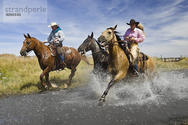 Cowgirl und Cowboys reiten durch Bach  Oregon  USA