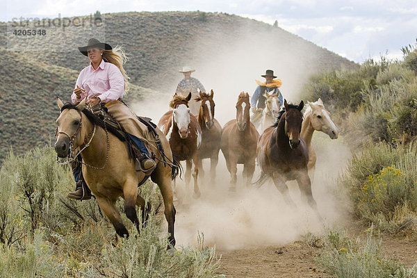 Cowgirl und Cowboy mit Pferden  Oregon  USA