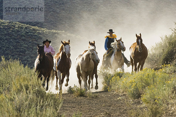 Cowgirl und Cowboy reiten  Oregon  USA