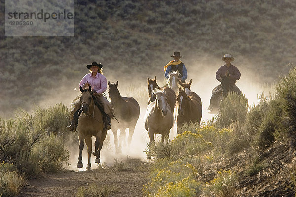 Cowgirl und Cowboys reiten  Oregon  USA