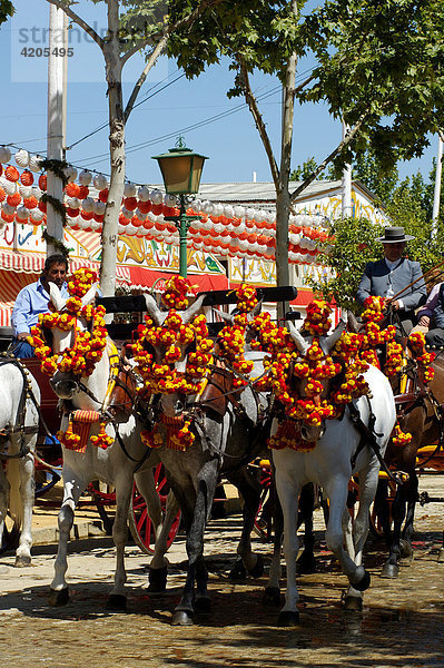 Feria de Abril   Pferdegespann mit Kutsche   Sevilla   Andalusien   Spanien   Europa