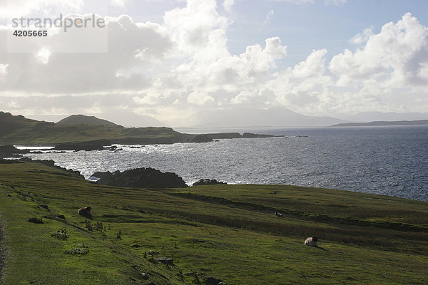 Felsenküste auf Achill Island   Mayo   Connacht   Irland   Europa