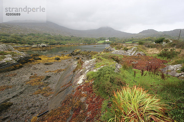 Landschaft am Kinmare River auf der Halbinsel Beara   Cork   Munster   Irland   Europa