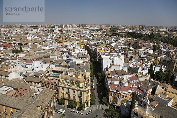 Blick vom Turm der Kathedrale auf die Altstadt  Sevilla  Andalusien  Spain