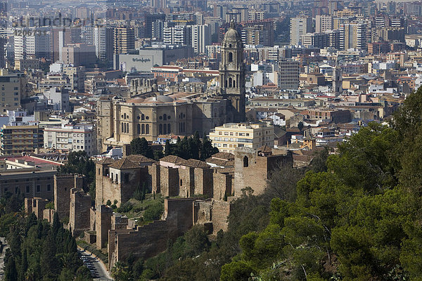 Blick auf die Kathedrale und Hochhäuser von Malaga  Andaluisen  Spanien