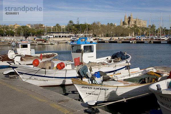 Fischerboote im Fischereihafen und hinten die Kathedrale La Seu  Palma  Mallorca  Balearen  Spanien