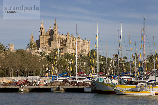 Fischereihafen  Kathedrale La Seu  Palma  Mallorca  Balearen  Spanien