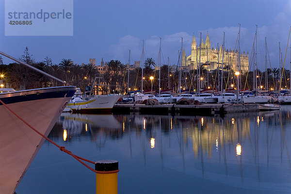 Fischerboote im Fischereihafen zur blauen Stunde  hinten die Kathedrale La Seu  Palma  Mallorca  Balearen  Spanien