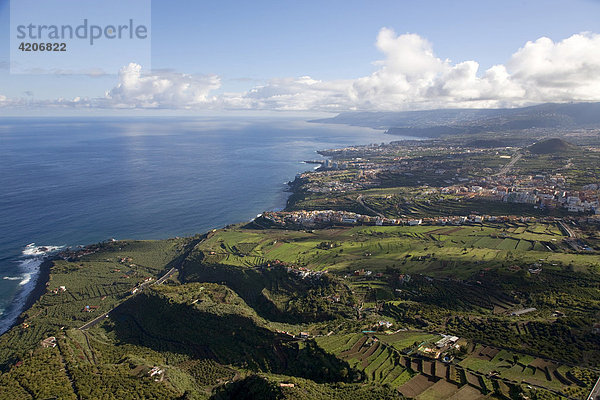 Terrassenlandschaft im Norden  Teneriffa  Tenerife  Kanaren  Spanien