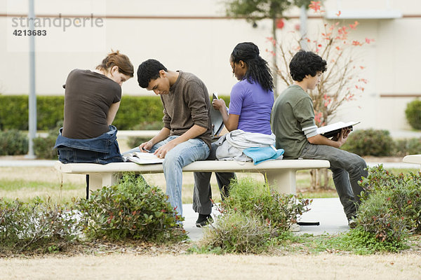 Gymnasiasten studieren gemeinsam im Freien