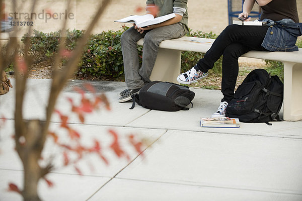 Studenten  die im Freien studieren