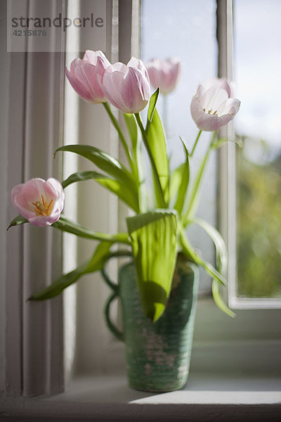 Blumen in Vasen und einem englischen Garten