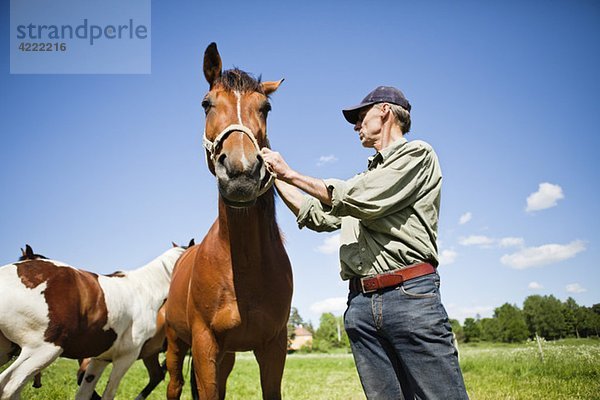 Mann mit Pferd 2