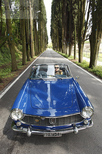 Seniorin fährt mit Cabrio auf einer Allee  Italien  Padenghe sul Garda