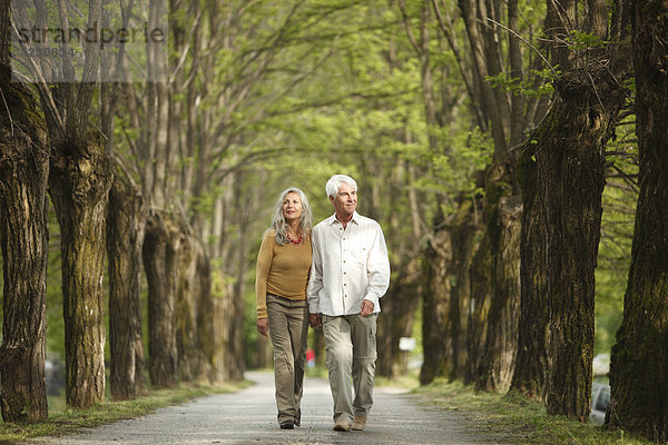 Seniorenpaar geht Hand in Hand auf einer Allee spazieren  Italien  Telve