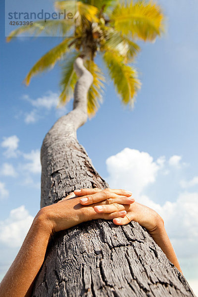 Hände zusammen auf Palmen  Insel Maadaugalla  Nord Huvadhu Atoll  Malediven