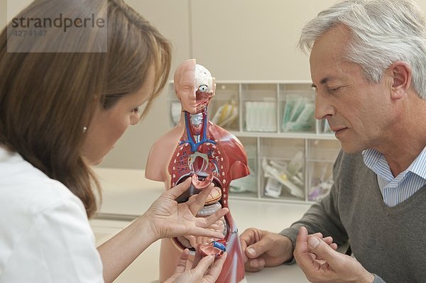 Ärztin und Patient unterhalten sich an einem Anatomiemodell