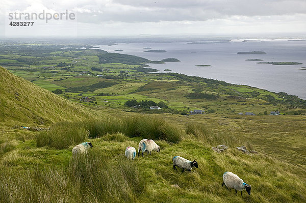 Landschaft in Joyce's Country Irland