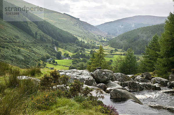 Wasserfall Wicklow Mountains Irland