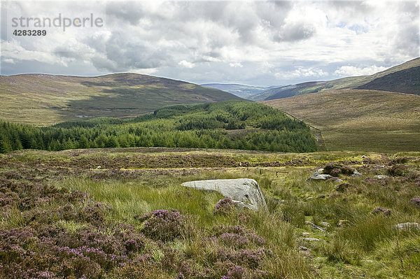 Landschaft Wicklow Mountains