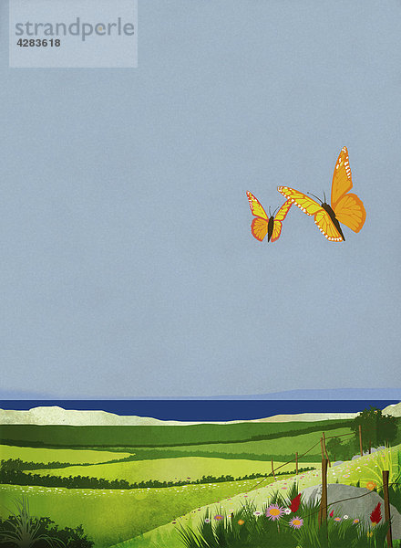 Schmetterlinge fliegen über Küstenlandschaft