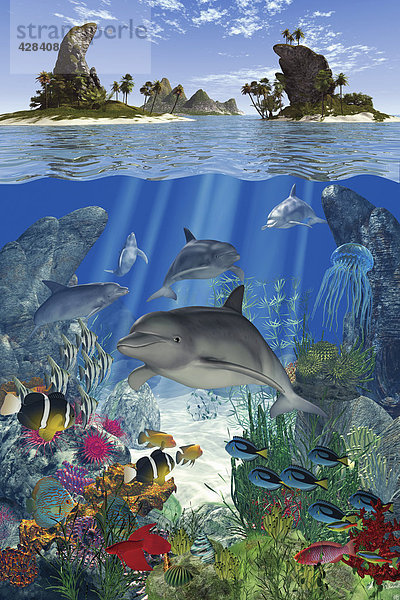 Delfine und andere Meeresbewohner in klarem Wasser