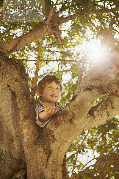 Kletterbaum für kleine Jungen