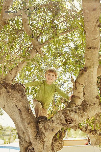 Lächelnder Junge klettert auf einen Baum