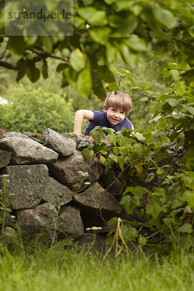 Kletternder kleiner Junge im Obstgarten