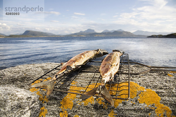 Gegrillte Makrelen auf Fels am Meer