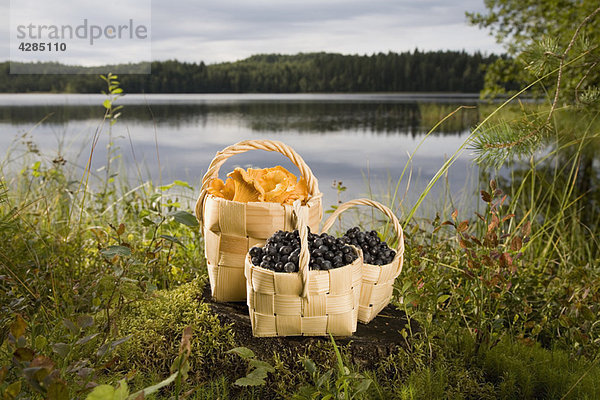 Beeren und Pilze in Körben am See