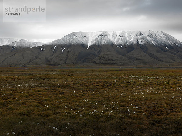 Landschaft Svalbard