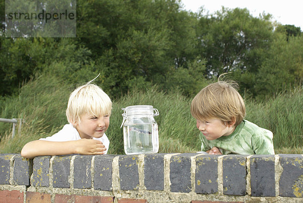 Zwei kleine Jungen  die Fische im Glas betrachten.